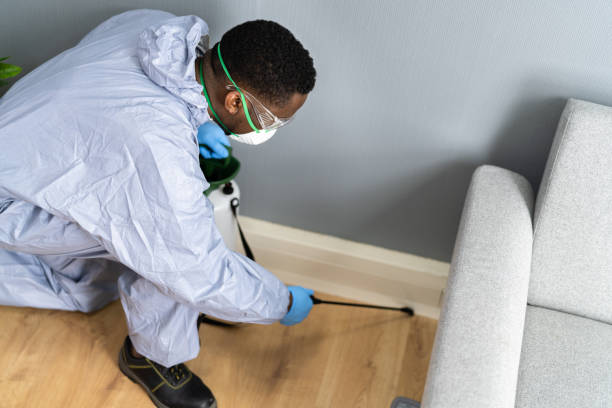 Best Real Estate Pest Inspections  in Ironton, OH